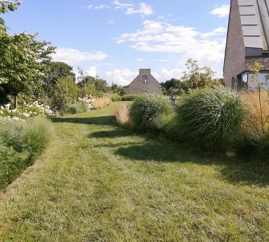 Zrealizowany ogród naturalistyczny