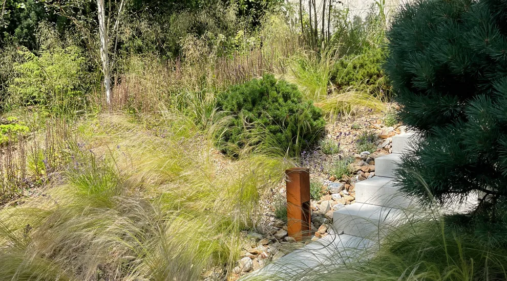 Projektowanie i realizacja ogrodów naturalnych