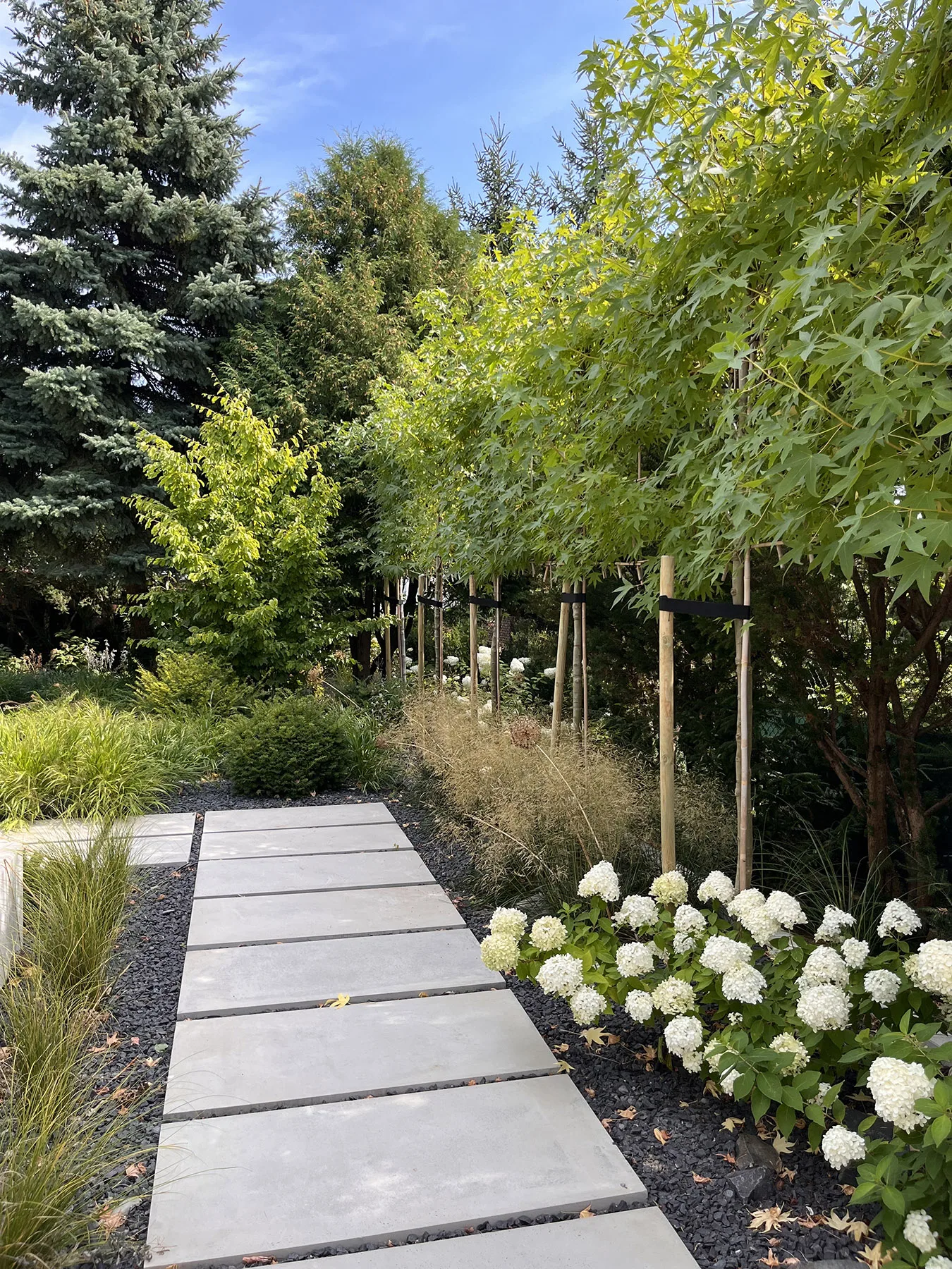 MODERN GARDEN W CENTRUM LUBLINA